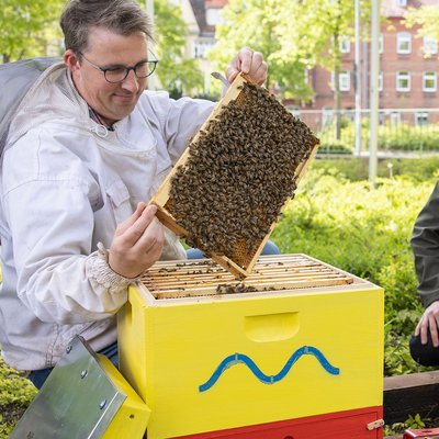 AVACON Bienen – Imker Dennis Volland und Kommunalmanager Hendrik Paul beim Einzug der Bienen